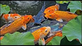 so love and amzing #cute #best #love 3