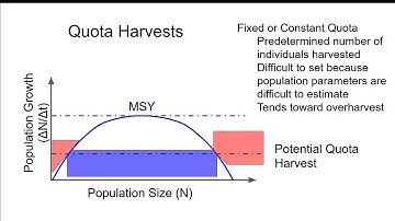 Harvest in Simple Population Models