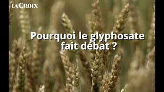 Comprendre le débat autour du glyphosate en moins de trois minutes