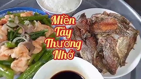 Cá rô phi miền tây|| Đậu que xào tôm của người miền tây|| Cá rô phi chiên giòn miền tây||Như H.Vlog.