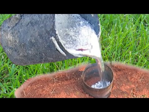 POURING MOLTEN ALUMINUM INTO A FIRE ANT HILL CASTING FIREANT COLONY