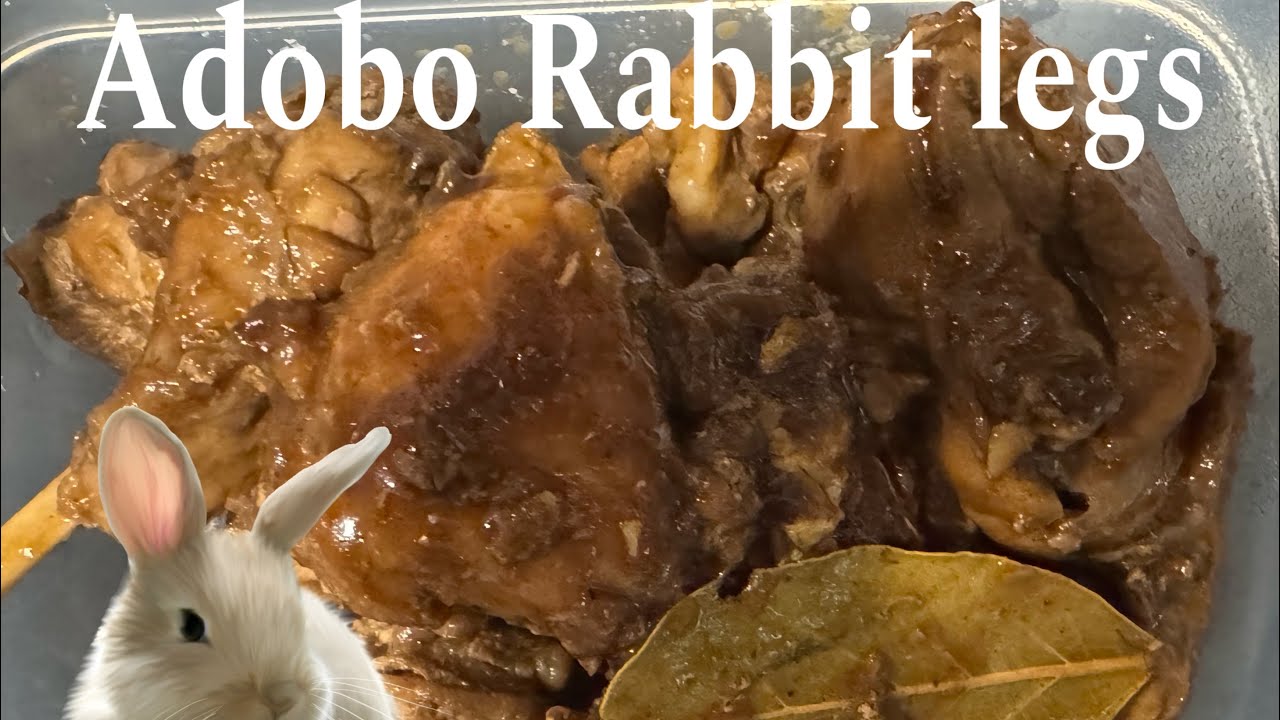 Cook Rabbit Legs Cooking rabbit legs for the first time | LIFE IN AMERICA RECENTLY ...