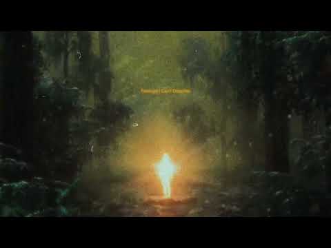 silent collision - Feelings I Can't Describe (Official Visualizer)