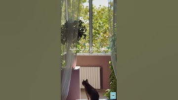 فأما من أوتي كتابه بيمينه فيقول هاؤم اقرءوا كتابيه للقارئ #البنا
