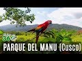 Parque Nacional del Manu - Pilcopata ( Cusco ) | Viajero en 360