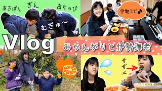 ★Vlog★かんあきファミリーのみかんの木と伊勢海老まつり