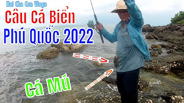 fishing | Câu Cá Biển Phú Quốc| Câu Cá Mú, Câu Cá Bãi An Thới✅