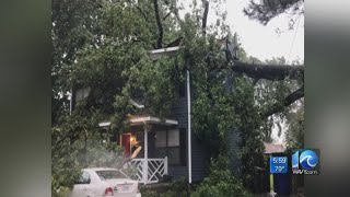 Tree falls on Norfolk home and pins woman during Dorian, family loses everything
