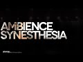 Arknights ambience synesthesia  double dragon