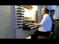 BWV 542 In The Thomaskirche Ullrich Böhme Organ 