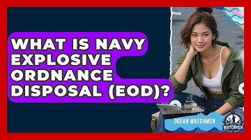 What Is Navy Explosive Ordnance Disposal (EOD)? - Ocean Watchmen