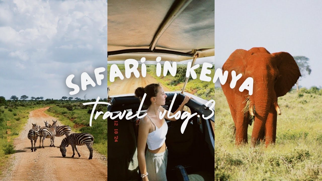 Safari in Kenya || Travel Vlog 3 🇰🇪 - YouTube