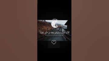 سورة يونس|27| #قرآن #القارئ عبد الرحمان مسعد