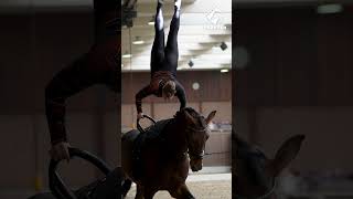 Voltige - Horst Ad Maas 1 De Nieuwe Heuvel Lunteren