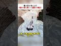 母の愛の力とは?小象の命を救った感動の物語! #母の愛 #動物救助 #感動ストーリー #命の尊さ #助け合いの心