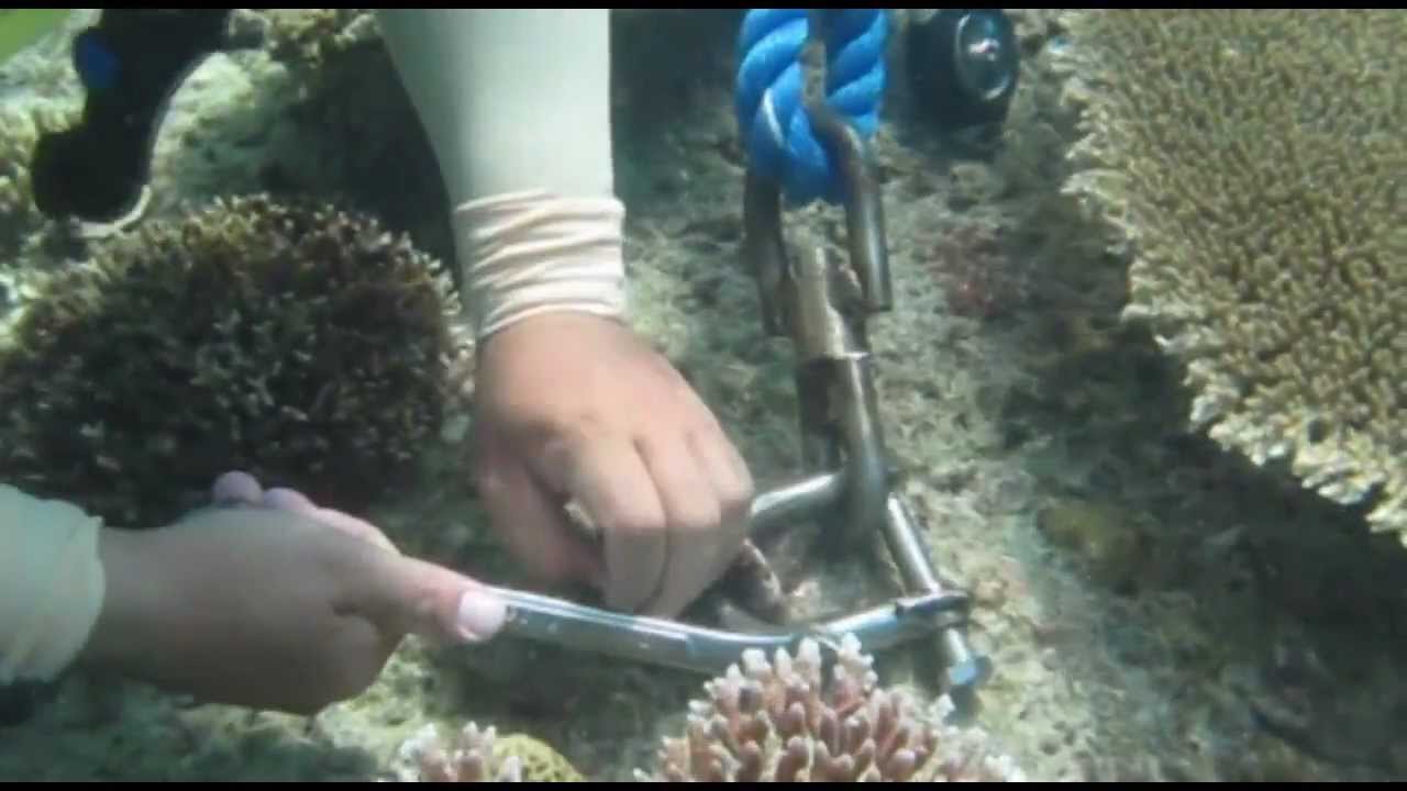 Mooring buoy installation in El Nido (November 2011) YouTube