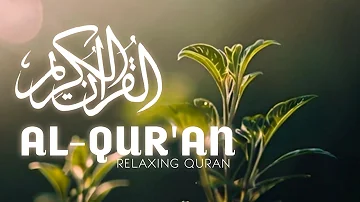 Relaxing Quran Recitation | SOFT VOICE | Relaxing Melodious  | Relaxing Recitation for Stress Relief
