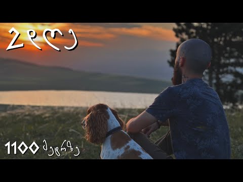 2 დღე 1100 მეტრზე ტყეში - 24 საათი ტყეში დღე 1