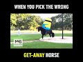 When you pick the wrong getaway horse