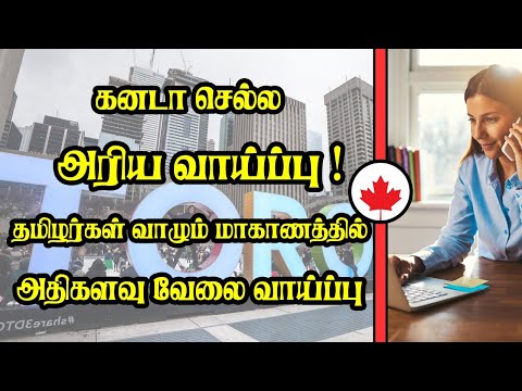 கனடா செல்ல அரிய வாய்ப்பு ! தமிழர்கள் வாழும் மாகாணத்தில் அதிகளவு வேலை வாய்ப்பு