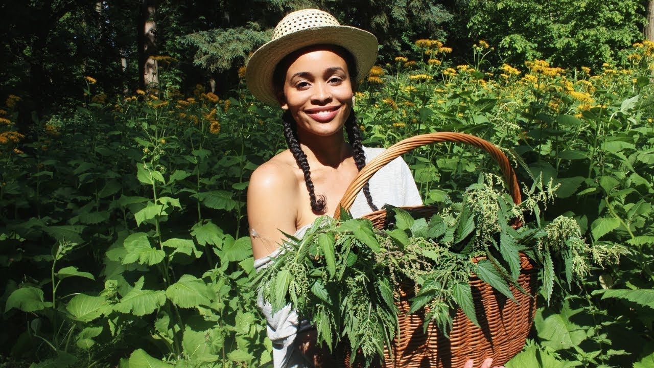 Brennnessel » Superfood & Heilmittel 🌿 PMS, Akne, Eisenmangel, Schuppen u.v.m.