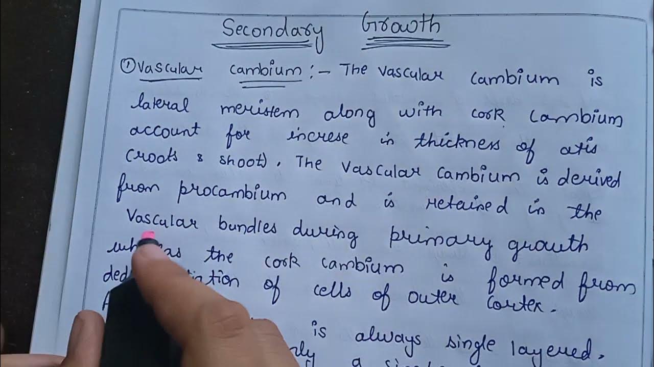 Secondary growth,vascular cambium,cork cambium,fascicular