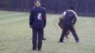 Pakwerk Cursus2009-1 Vdh Gelderland