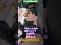 #トイプードル #シニア犬