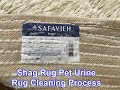 Safavieh Shag Rug Washing Process #shorts #plano #dallas #frisco