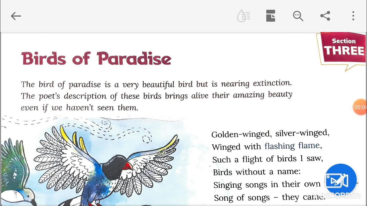 Class 6 Living English Poem Birds of Paradise - YouTube
