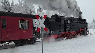 Dampflok der Harzer Schmalspurbahn (HSB) Ausfahrt aus Drei Annen Hohne