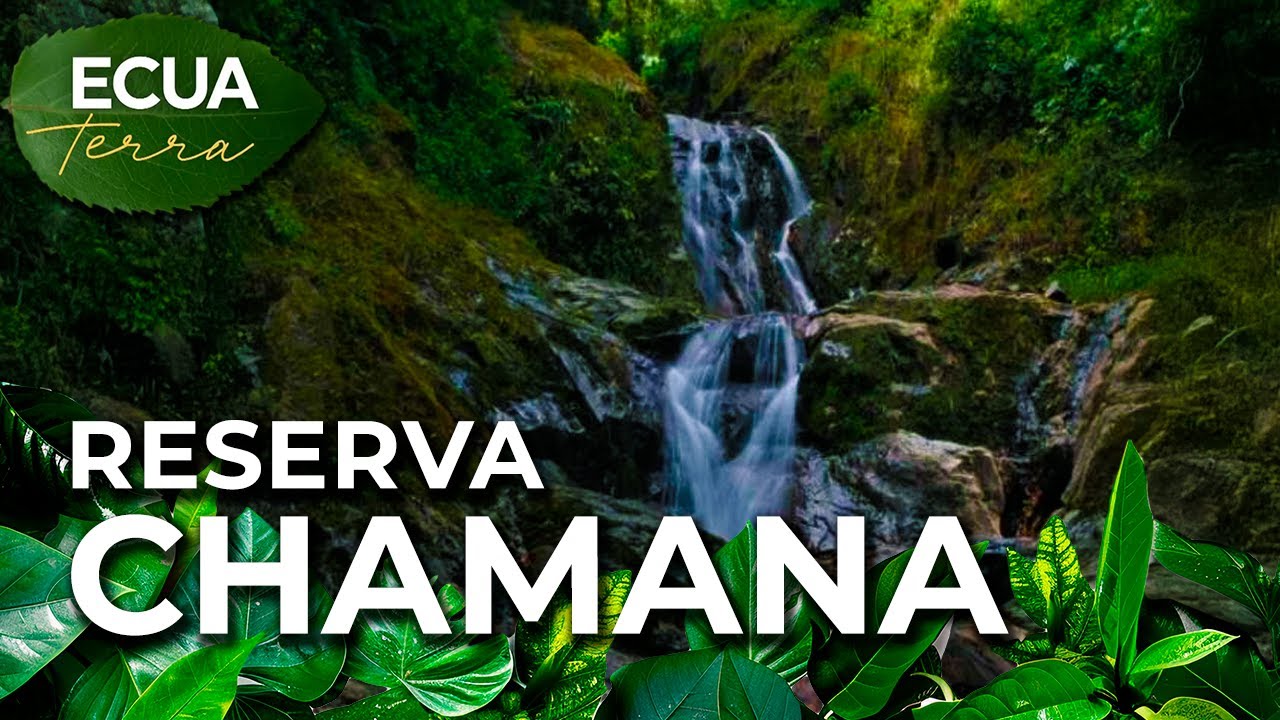 Ecuaterra🌱Quebradas, cascadas y senderos atraen turistas a la Reserva Chamana, Tungurahua | Ecuavisa