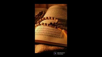 القران الكريم سورة الاخلاص #القرآن_الكريم #قرآن