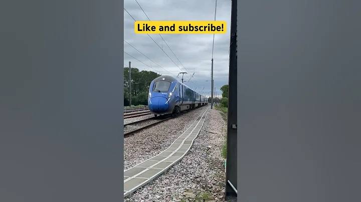 Class 803 passing crossing at speed #trainvideos #trainspotting #lumo  #train #trainsatspeed #trains