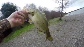 Shinn Ponds Quarrys Fremont San Jose Bay Area Pond Hoppin Pre Spawn Bass Fishing 2017