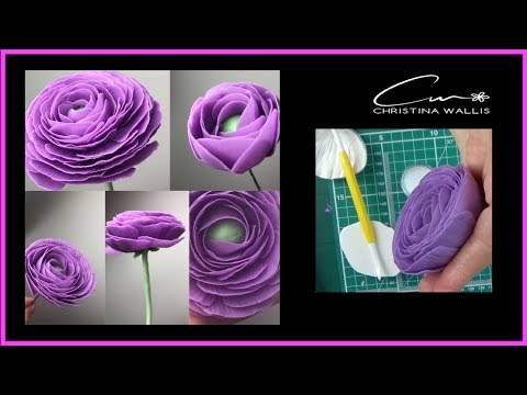Video: Flowers That Look Like Peonies (29 Photos): What Are They Called? Description Of Ranunculus And Other Flowers