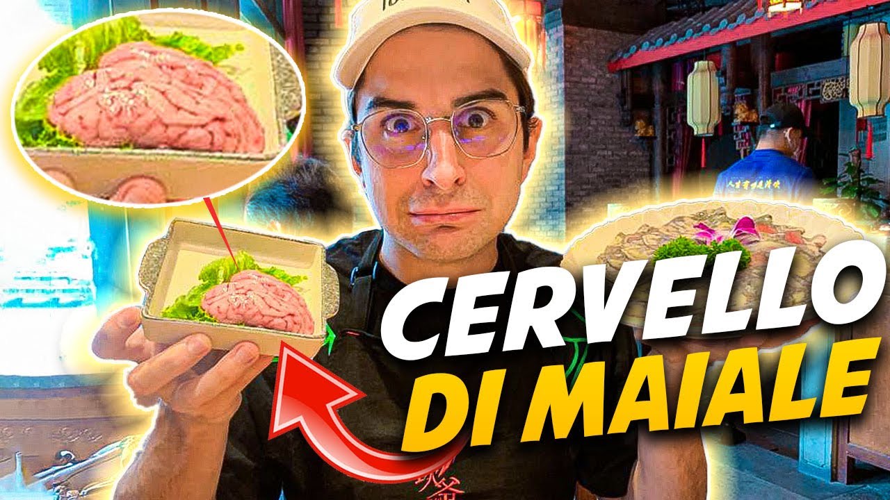 CINA 11 HO MANGIATO IL CERVELLO DI MAIALE! LASABRI E' SCONVOLTA! YouTube CINA 11 HO MANGIATO IL CERVELLO DI MAIALE! LASABRI E' SCONVOLTA! YouTube