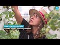 Farm on a Paris rooftop: Urban farm aims to be Europe’s largest Mp3 Song