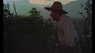 Tras el horizonte - Dir. Mitl Valdez / México / 1984
