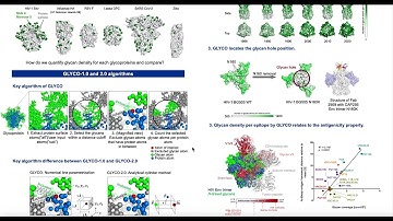 GLYCO-2.0: a web-based server to quantify glycan... - Myungjin Lee - 3DSIG - Poster - ISMB 2022