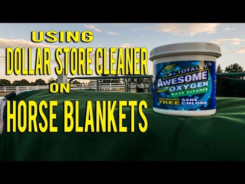 How To Clean Horse Blankets With Dollar Store Cleaner // So Easy!