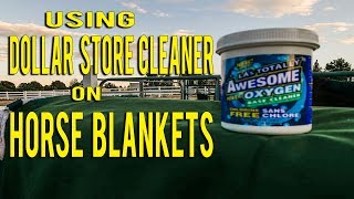 How To Clean Horse Blankets With Dollar Store Cleaner // So Easy!