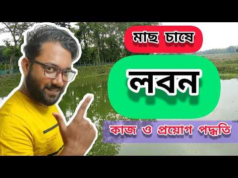 ভিডিও: লবণ আবহাওয়া কি?