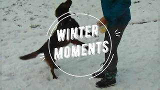 WINTER MOMENTS/LANA BANANA by LANA BANANA 221 views 6 years ago 3 minutes, 8 seconds