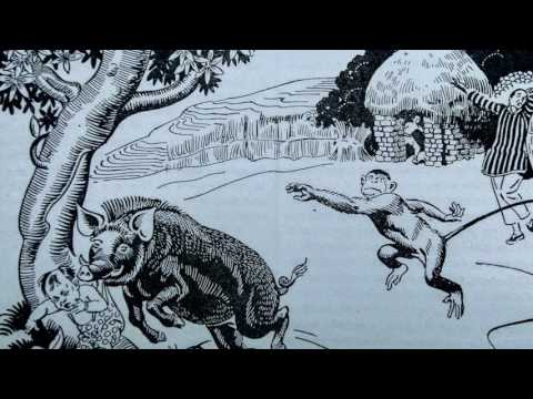 Os Mais Belos Contos de Fadas Chineses - A Macaca e o Javali