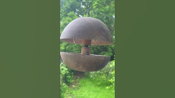Handmade Oak Applecore Bird Feeder – Squirrel-Proof & Perfect for Small Birds