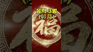 1951년 신묘(辛卯)년 토끼띠 2025년 토정비결 사주풀이 신년운세 운세풀이