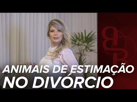 Vídeo: Quem Consegue Manter Os Animais De Estimação No Divórcio?