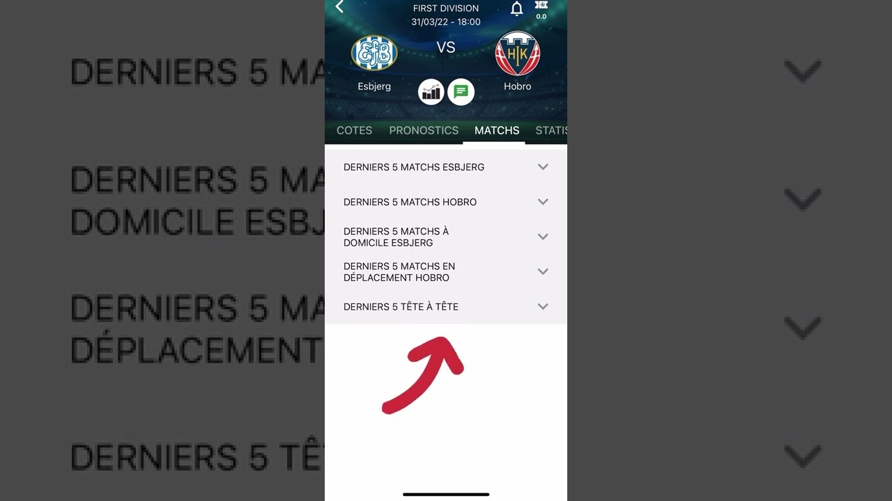 FR - TUTORIEL SUR LE FILTRE AVANCÉ DE BETMINES