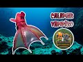 animales vida real : calamar vampiro - El calamar del infierno